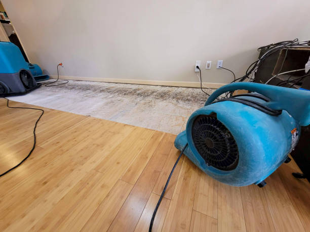Professional Water Damage Repair technician working in Meridian, OK